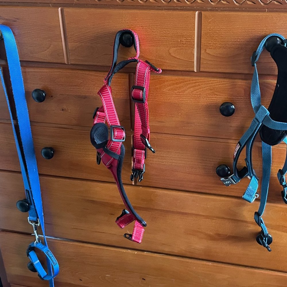 Top Paw 6' Leash and Small Adjustable Collar - 2 Kong Harness Size Medium